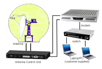 1527075208852377.png 樹上熟.png